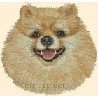 Pomeranian dog0020