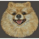 Pomeranian dog0020