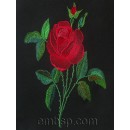 Rose flw0064
