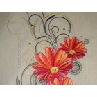 Gerbera flw0066