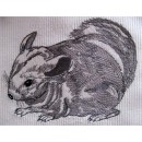 Chinchilla anm0022