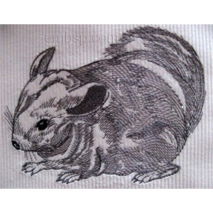 Chinchilla Machine Embroidery Designs size 179*138mm