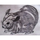 Chinchilla Machine Embroidery Designs size 179*138mm