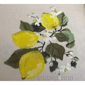 Lemons Machine Embroidery Designs size 156*179mm