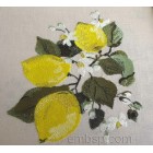 Lemons Machine Embroidery Designs size 156*179mm