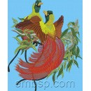 Red Bird of Paradise brd0022