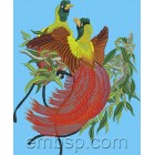 Red Bird of Paradise brd0022