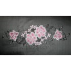 Roses flw0081