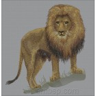 Lion lio0004 (3 parts)