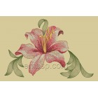 Lily flw0083
