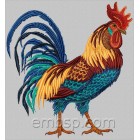 Cockerel brd0026