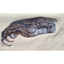 Snake-arm snk0003