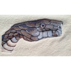 Snake Machine Embroidery Designs size 193*109mm