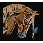 Horse with butterfly hrs0005