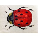 Ladybird int0008