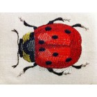 Ladybird Machine Embroidery Designs size 63*81mm