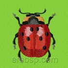 Ladybird int0008