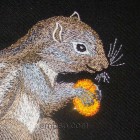 Squirrel from The Tale of Tsar Saltan anm0023