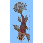 Brown Koi Carp_fsh0003