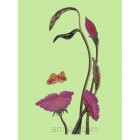Mouth of the Flower art0021
