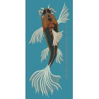 Black Koi Carp_fsh0004