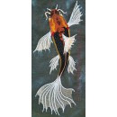 Black Koi Carp_fsh0004