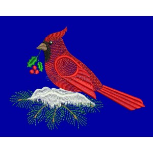 Bird Machine Embroidery Designs Size 138*105mm