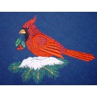 Bird nyr0045