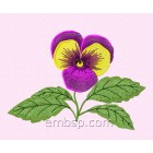 Flowers Pansy Machine Embroidery Designs size 176*127mm