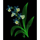 Flowers Forget-me-not Machine Embroidery Designs size 135*166mm