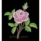 Rose flw0092