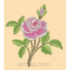 Rose flw0092