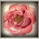 Flowers Peony Machine Embroidery Designs size 136*132mm
