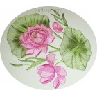 Lily flw0100