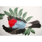 Bullfinches brd0033