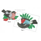 Bullfinches brd0033