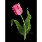 Flower Tulip Machine Embroidery Designs size 94*163mm