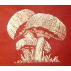 Mushroom Machine Embroidery Designs size 88*80mm