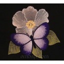 Butterfly bfl0010