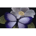 Butterfly bfl0010