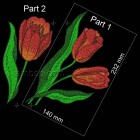 Tulips "Fiery Dawn" flw0110