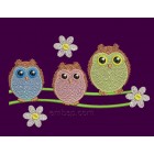 Owls brd0035