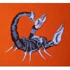 Scorpion Machine Embroidery Designs size 185*173mm