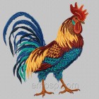 Rooster brd0026_rotated