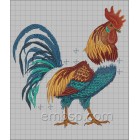 Rooster brd0026_rotated