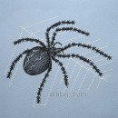 Spider anm0025