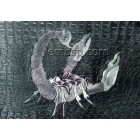 Scorpion Machine Embroidery Designs size 181*170mm