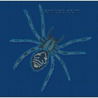 Spider anm0028