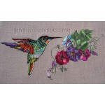 Hummingbird and Morning glory_brd0011