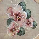 Pansies flw0123